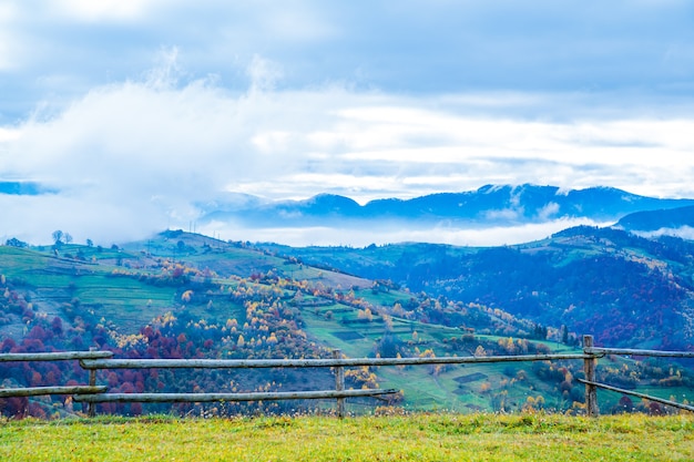 Bewitching beautiful summer landscape of green meadows