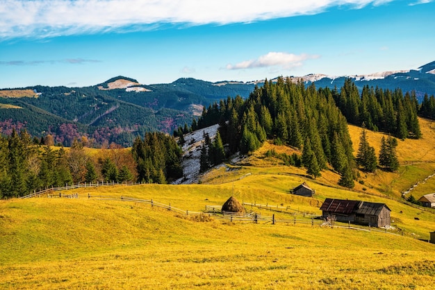 Bewitching beautiful summer landscape of green meadows