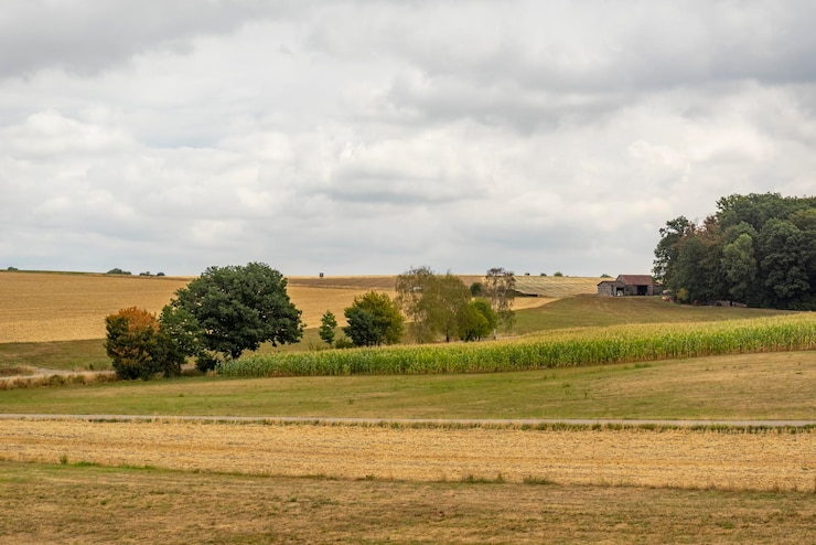 Foto bewolkt landschap van landbouwgrond