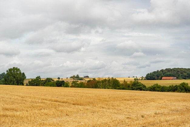 Bewolkt landschap