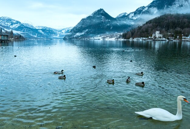 Bewolkt winter Alpine meer Grundlsee uitzicht (Oostenrijk) met wilde eenden en zwaan op water.