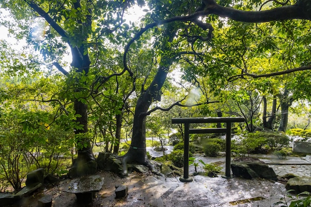 Bezienswaardigheden en natuur rond het Yangmingshan National Park in Taipei Republiek China in Taiwan