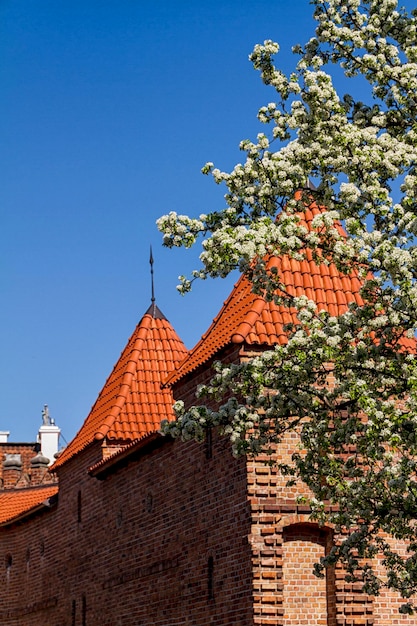 Bezienswaardigheden van Polen Oude binnenstad van Warschau met Renaissance Barbican