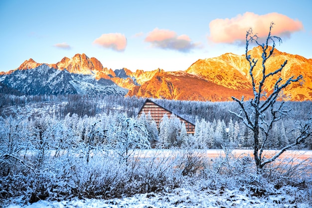 Bezinning van bergmeer in Hoge Tatra Slowakije Strbske pleso in de winter