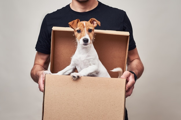 Bezorger in zwarte uniforme kartonnen bezorgdoos met Jack russel hond erin. Leuk huisdier als cadeau