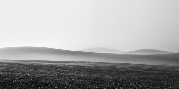 BFoggy field in the morning