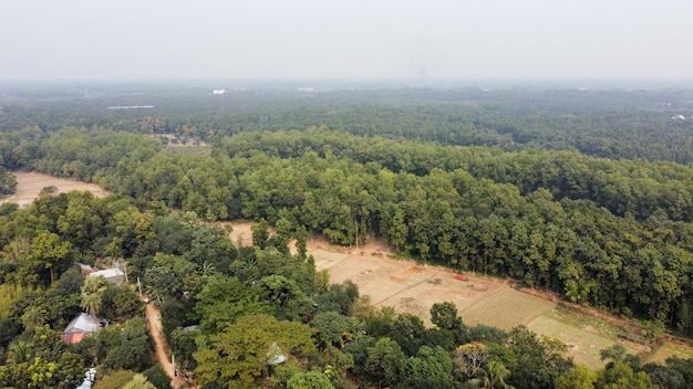 Bhawal Gazipur Ghazari Forest