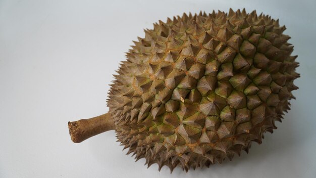 Bhineka Bawor is a durian variety originating from Banyumas Central Java famous for its very sweet