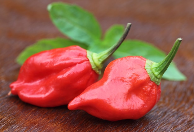 Bhut jolokia chili peper met muntblaadjes op houten oppervlak