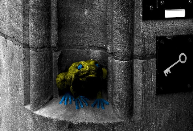 Photo bicolor frog at the entrance of the building