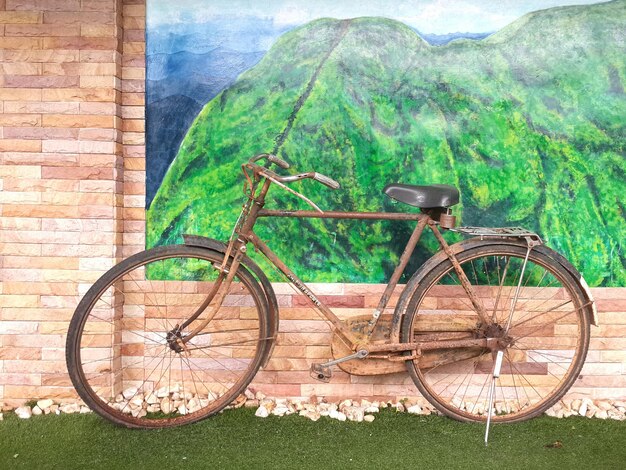 Bicycle against trees on mountain