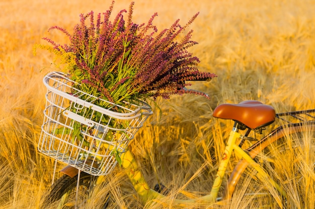 Bicycle basket handlebar flowers wheat field