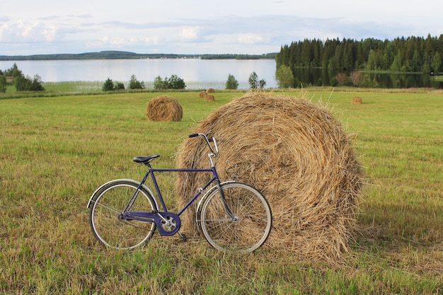 牧草地の干し草の山での自転車 家畜の種まきの収穫のための干し草の収穫
