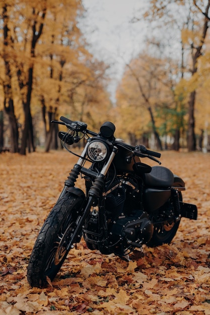 Photo bicycle on field during autumn