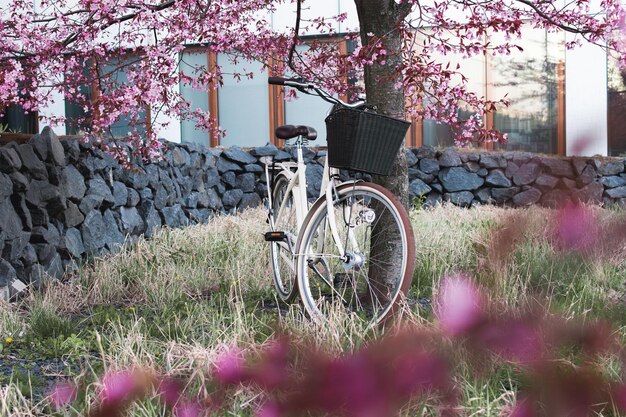 ピンクの花の咲く木がある庭で自転車