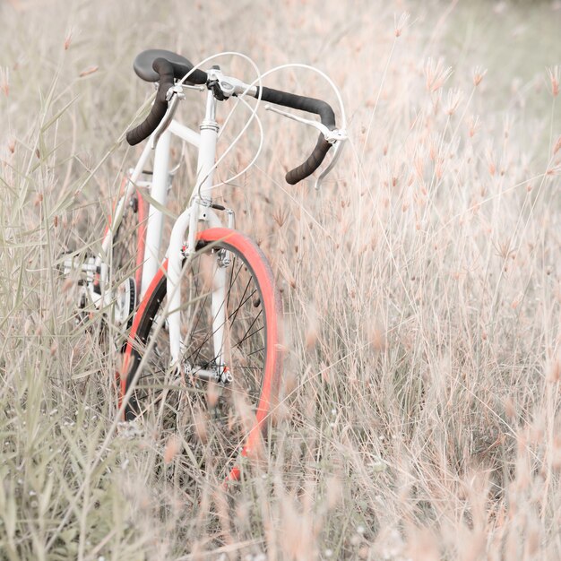 Foto bicicletta sul campo erboso contro il cielo