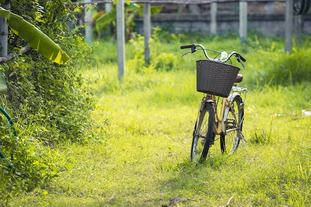 велосипед на зеленой траве