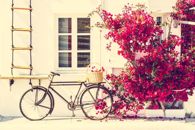 A bicycle is parked next to a white building with bougainvillea in the background