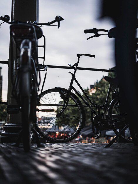 Bicycle la in leiden netherlands