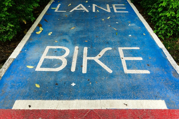 Foto segnale di pista ciclabile su fondo stradale blu, zona di sicurezza per bici