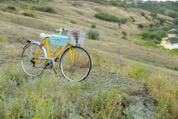 Foto bicicletta nel prato durante il tramonto