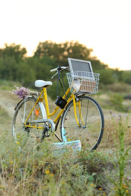 Bicycle in meadow during sunset