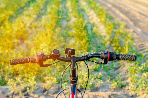 Bicycle on nature close up travel healthy lifestyle country walk sunny day