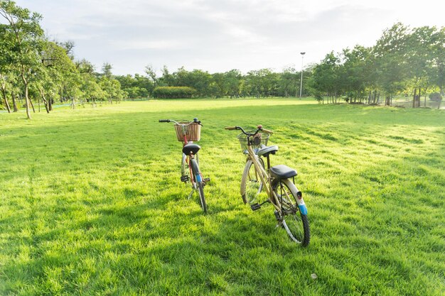 写真 フィールドでの自転車