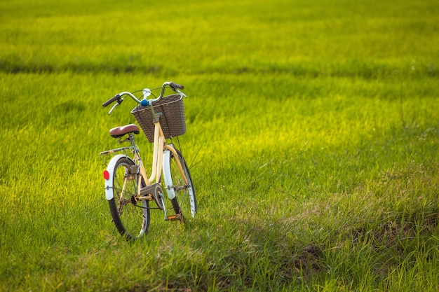 写真 緑の草の自転車