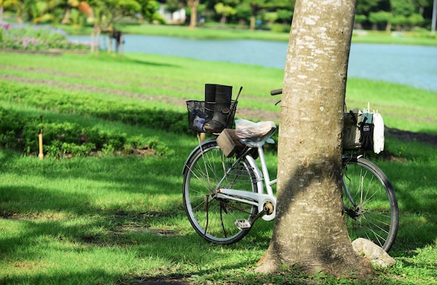 Foto bicicletta in parco