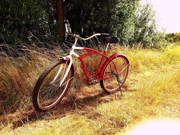 Bicycle parked on bicycle