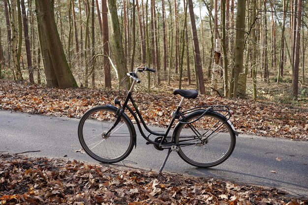 森の木のそばに駐車した自転車