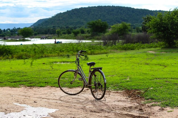 Photo bicycle parked on field against trees