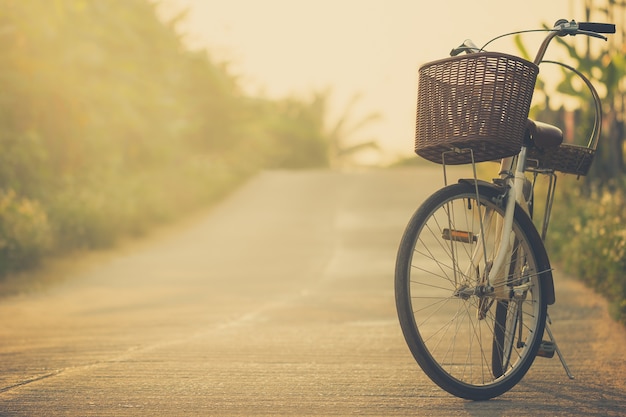 Bicycle parked on the way to the morning sunlight