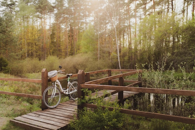 Foto bicicletta parcheggiata sul ponte di legno nella foresta