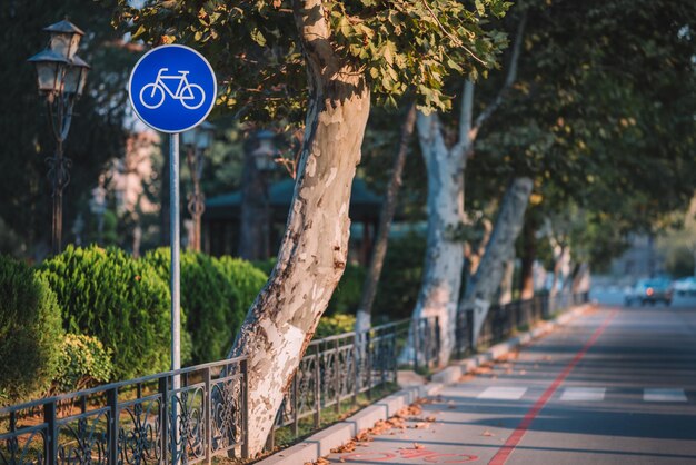 Bicycle path in the street