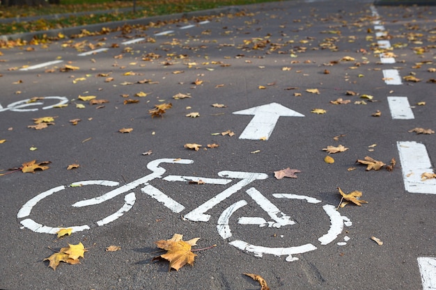 アスファルトに自転車の道路標識とマーキングが描かれた自転車道。公園の秋の道には、乾燥した黄色いカエデの葉が散らばっています。秋のサイクリング、交通ルール