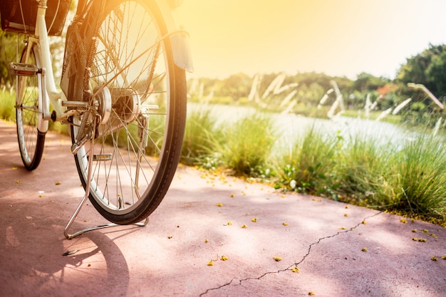 公共の公園で自転車