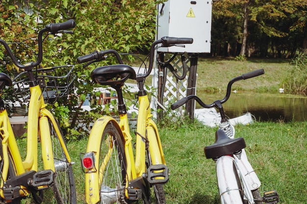 자전거 대여. 도시의 공용 주차장에 있는 자전거 대여소. 자전거 공유 시스템.