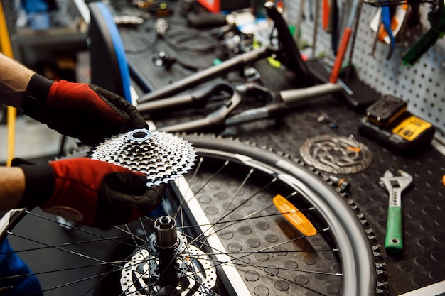 Bicycle repair in workshop, man installs star cassette