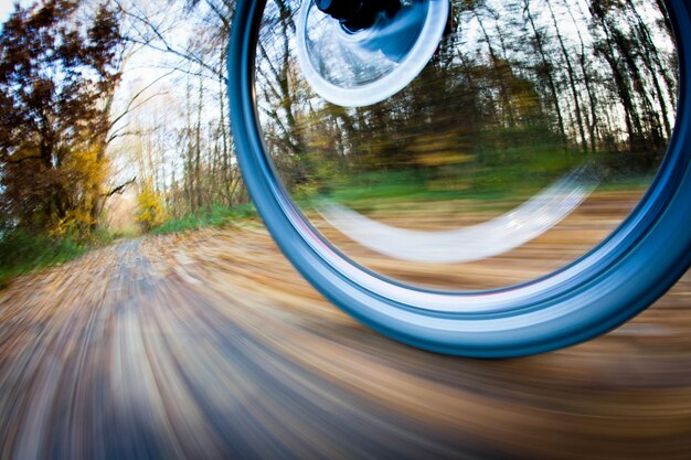 Bicycle riding in a city park on a lovely autumnfall day motion blur is used to convey movement