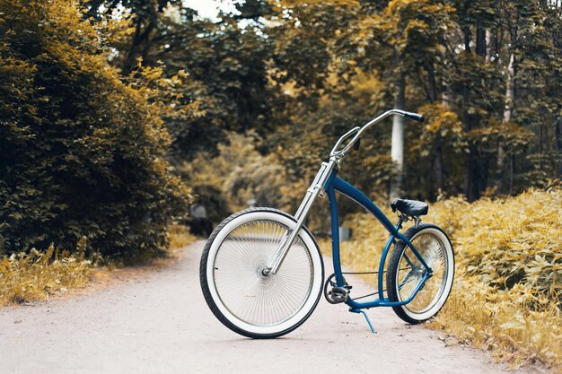 Foto bicicletta sulla strada contro gli alberi