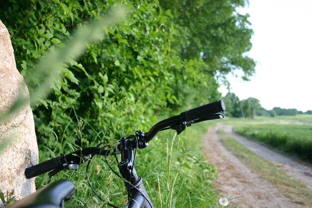 Bicycle on road amidst trees on field