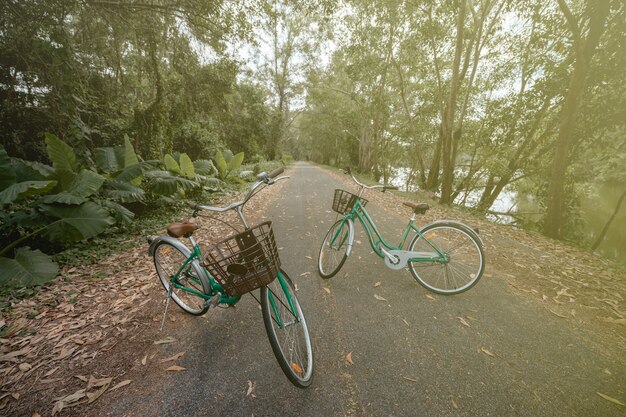 Una bicicletta su strada con luce solare e albero verde nel parco all'aperto.