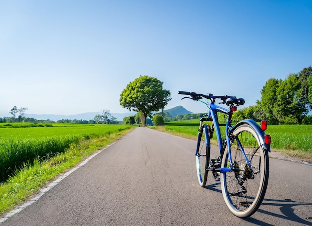 Photo bicycle on road