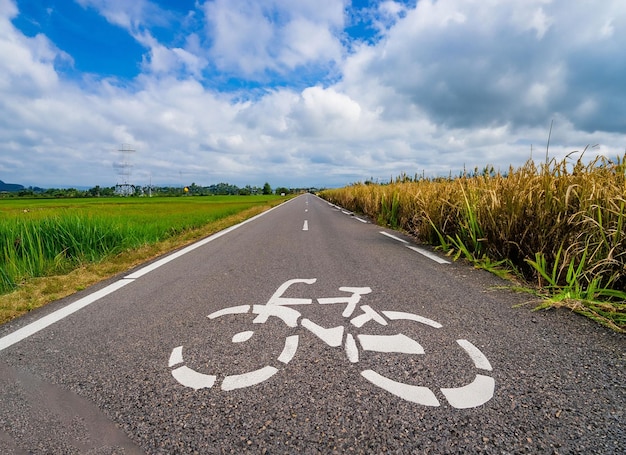 bicycle on road