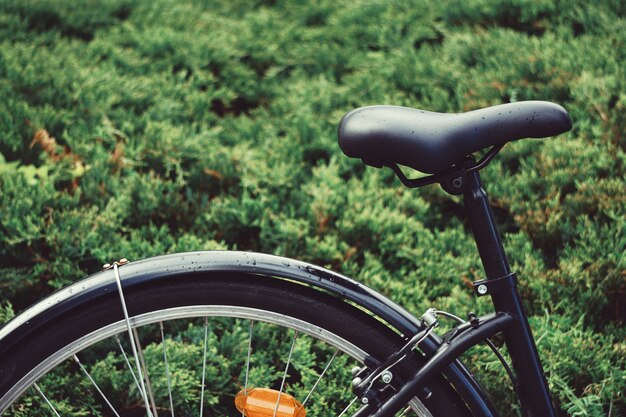 bicycle seat transportation in the street