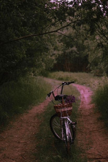 Foto bicicletta su un muro di pietra vicino agli alberi sul campo