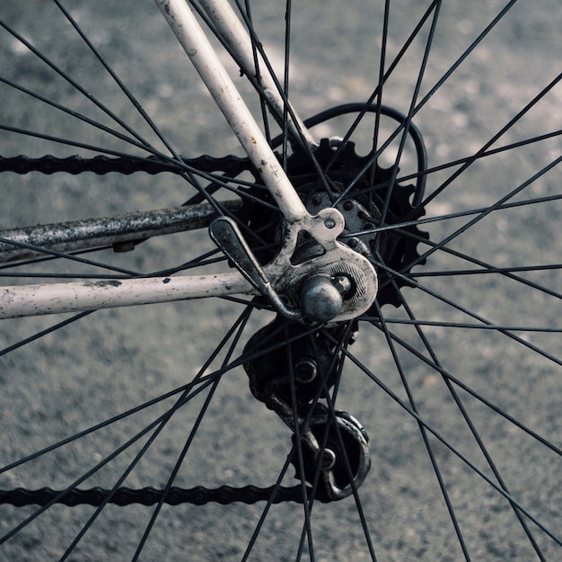  bicycle in the street 