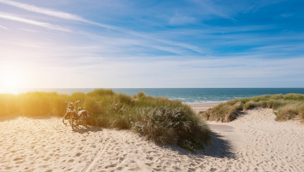 Bicycle tour at the dunes on North Sea in Zeeland Netherlands